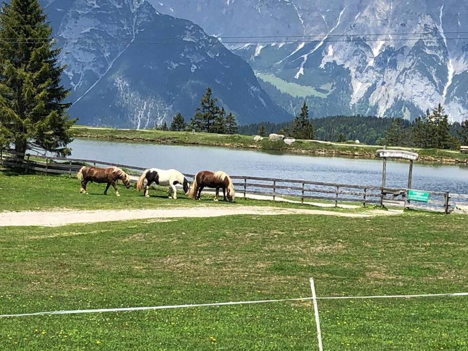 Sonniges Apartment In Seefeld Seefeld in Tirol Exterior photo